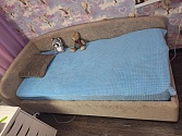 Отзыв от Дмитрий(21:31:44 03.03.2026)